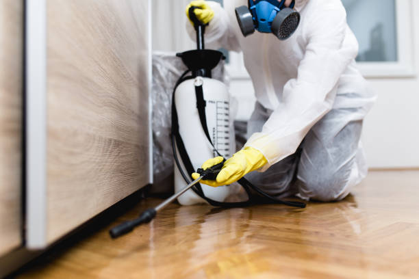 Best Affordable Pest Control Services  in Fordoche, LA