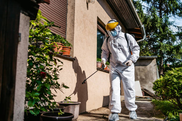 Best Insect Control  in Fordoche, LA