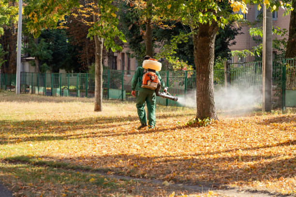 Best Affordable Pest Control Services  in Fordoche, LA