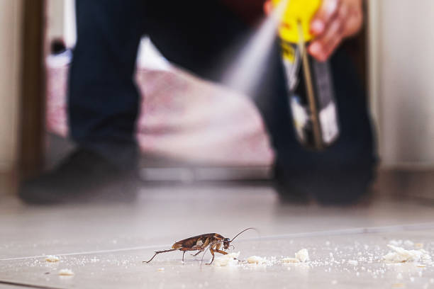 Best Ant Control Services  in Fordoche, LA