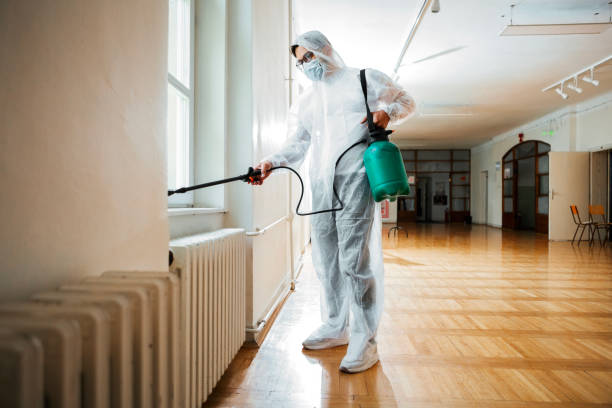 Best Bed Bug Extermination  in Fordoche, LA