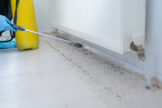 Best Cockroach Control Services  in Fordoche, LA