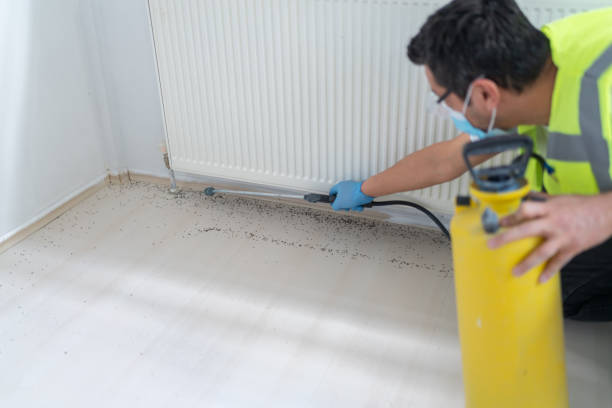 Best Pest Removal Services  in Fordoche, LA
